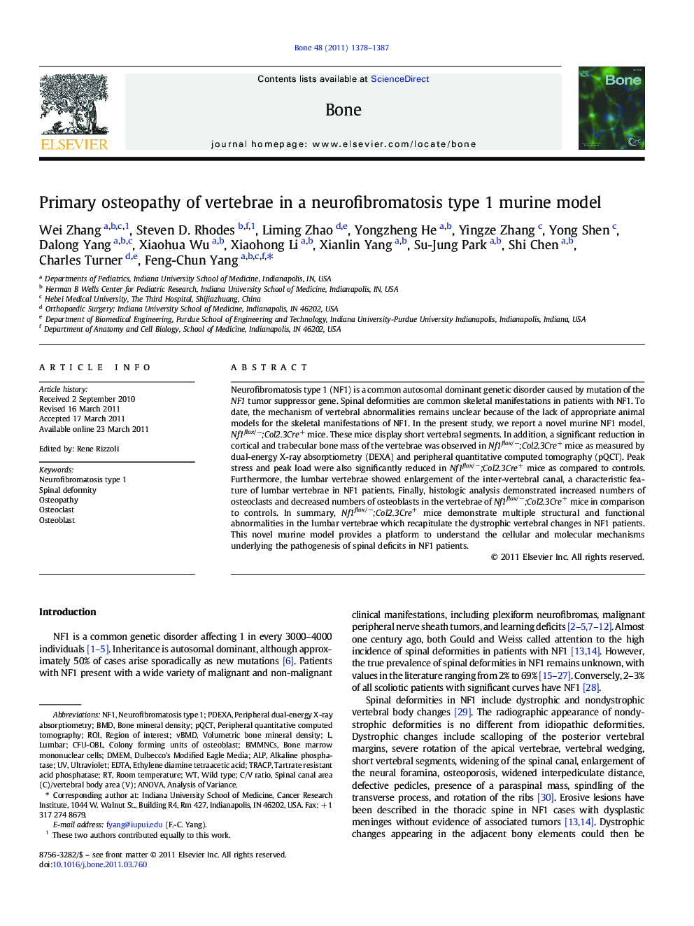 Primary osteopathy of vertebrae in a neurofibromatosis type 1 murine model