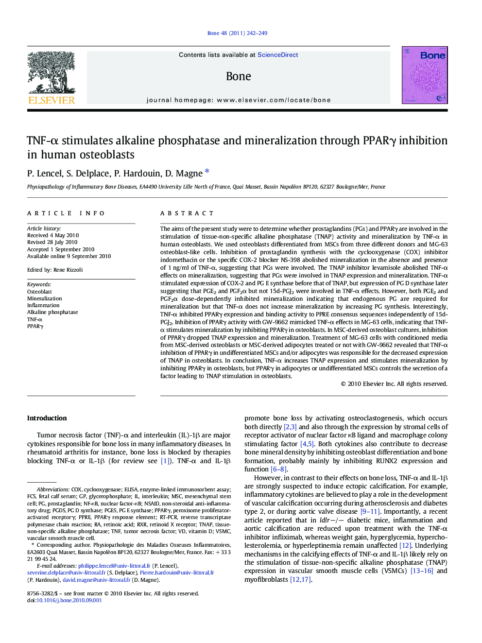 TNF-α stimulates alkaline phosphatase and mineralization through PPARγ inhibition in human osteoblasts