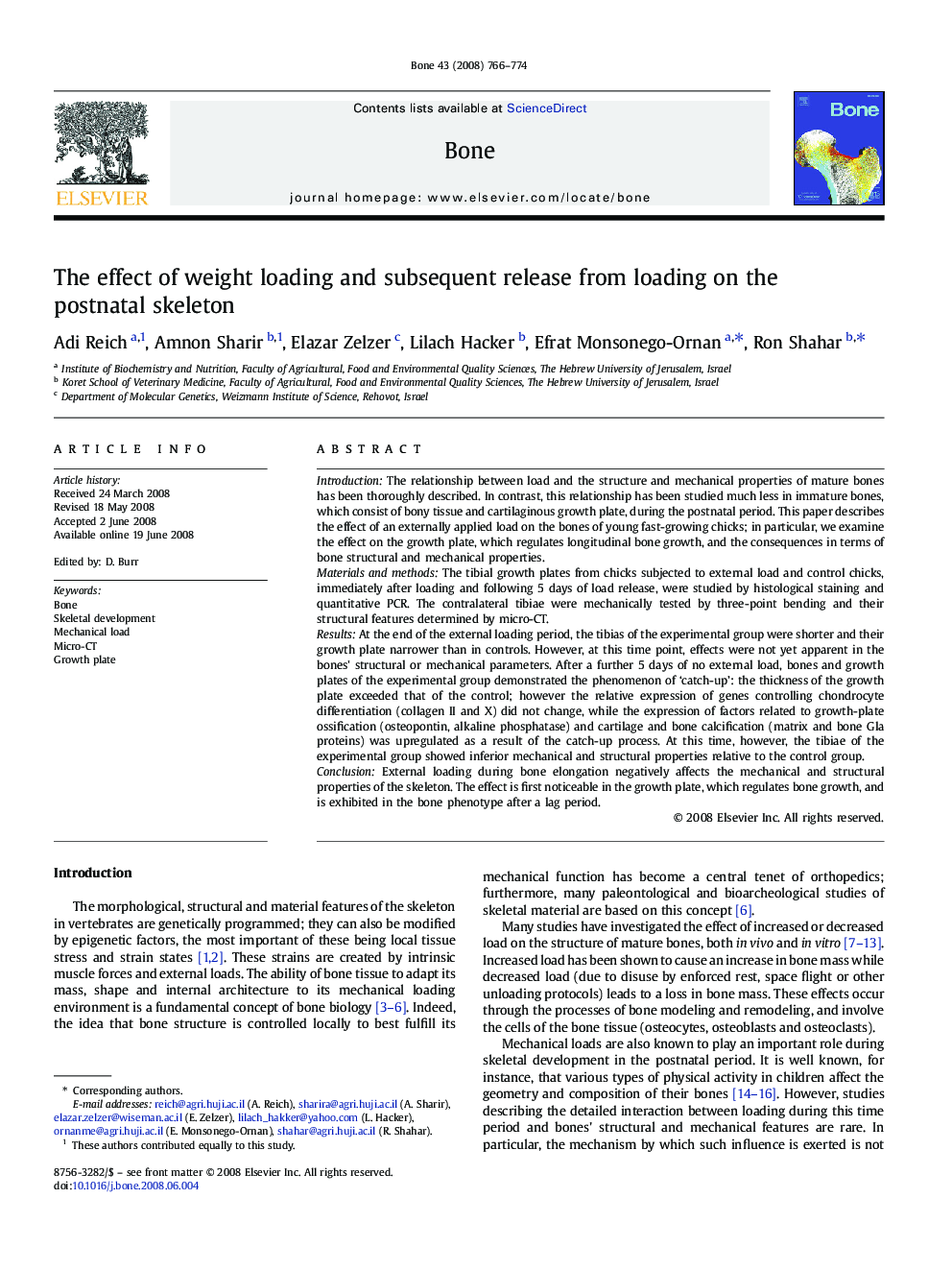 The effect of weight loading and subsequent release from loading on the postnatal skeleton