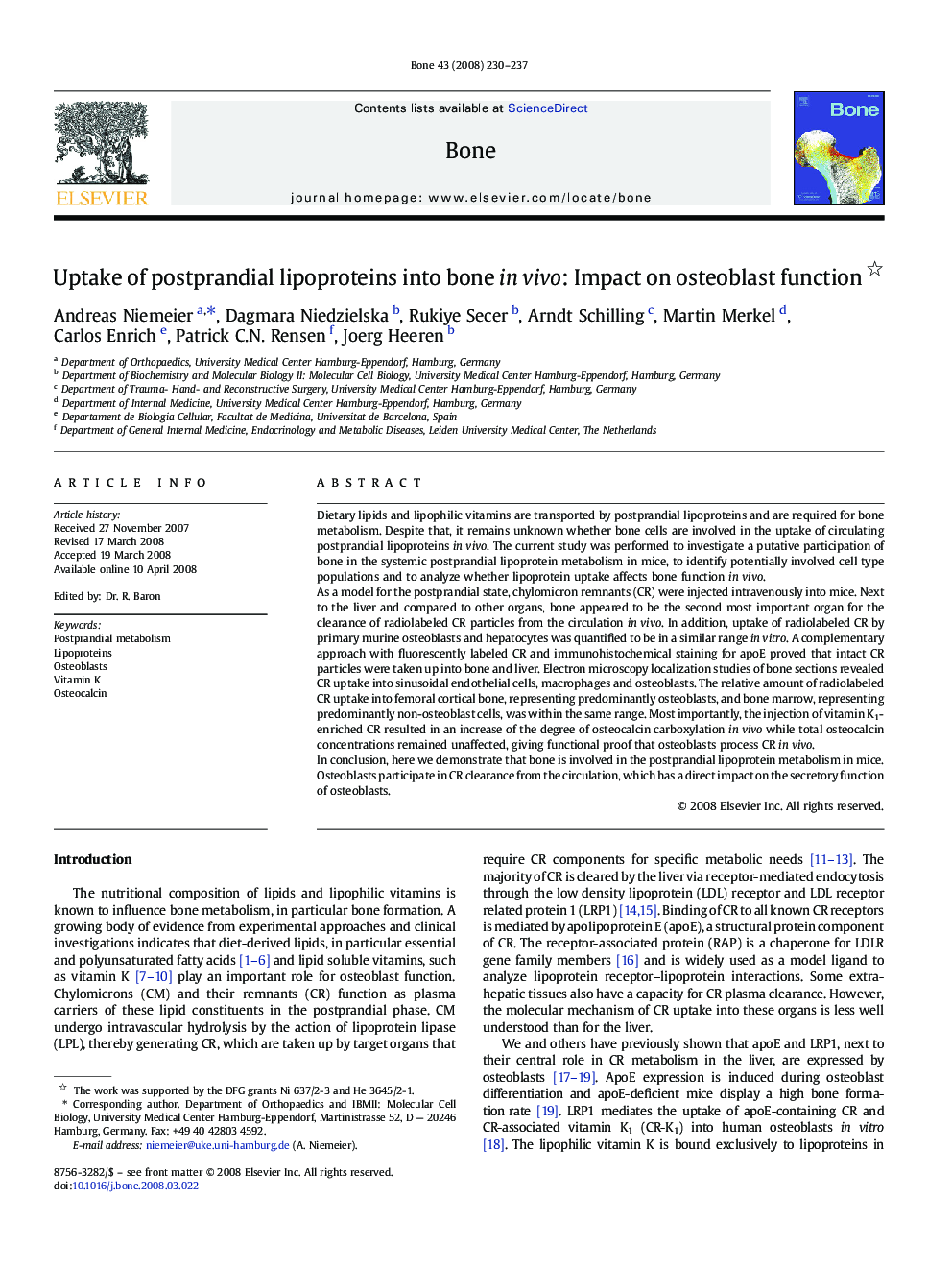 Uptake of postprandial lipoproteins into bone in vivo: Impact on osteoblast function 