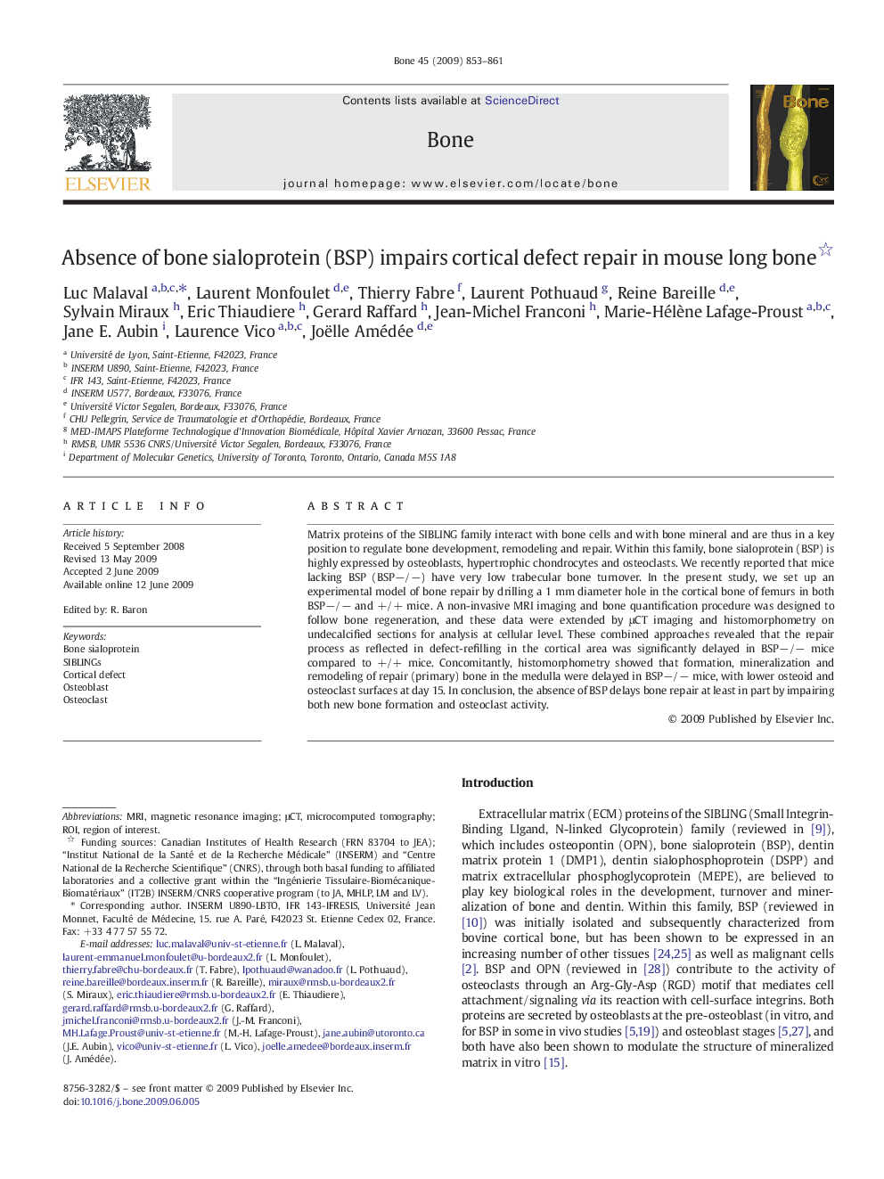 Absence of bone sialoprotein (BSP) impairs cortical defect repair in mouse long bone 