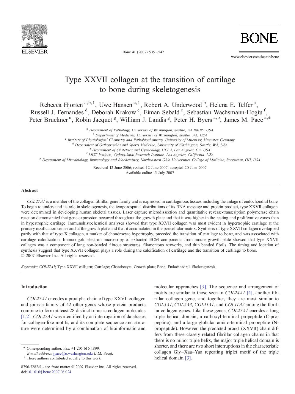 Type XXVII collagen at the transition of cartilage to bone during skeletogenesis