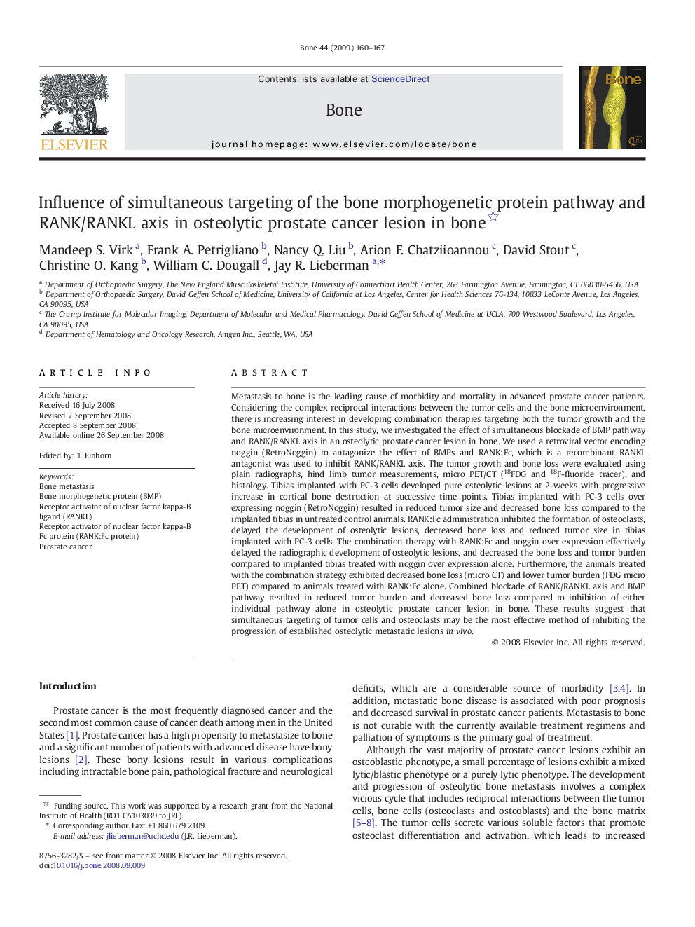 Influence of simultaneous targeting of the bone morphogenetic protein pathway and RANK/RANKL axis in osteolytic prostate cancer lesion in bone 