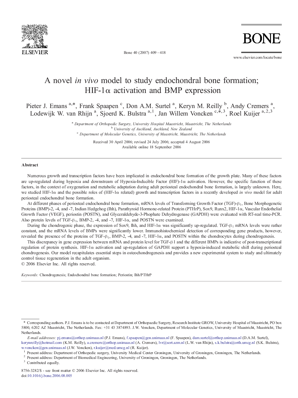 A novel in vivo model to study endochondral bone formation; HIF-1α activation and BMP expression