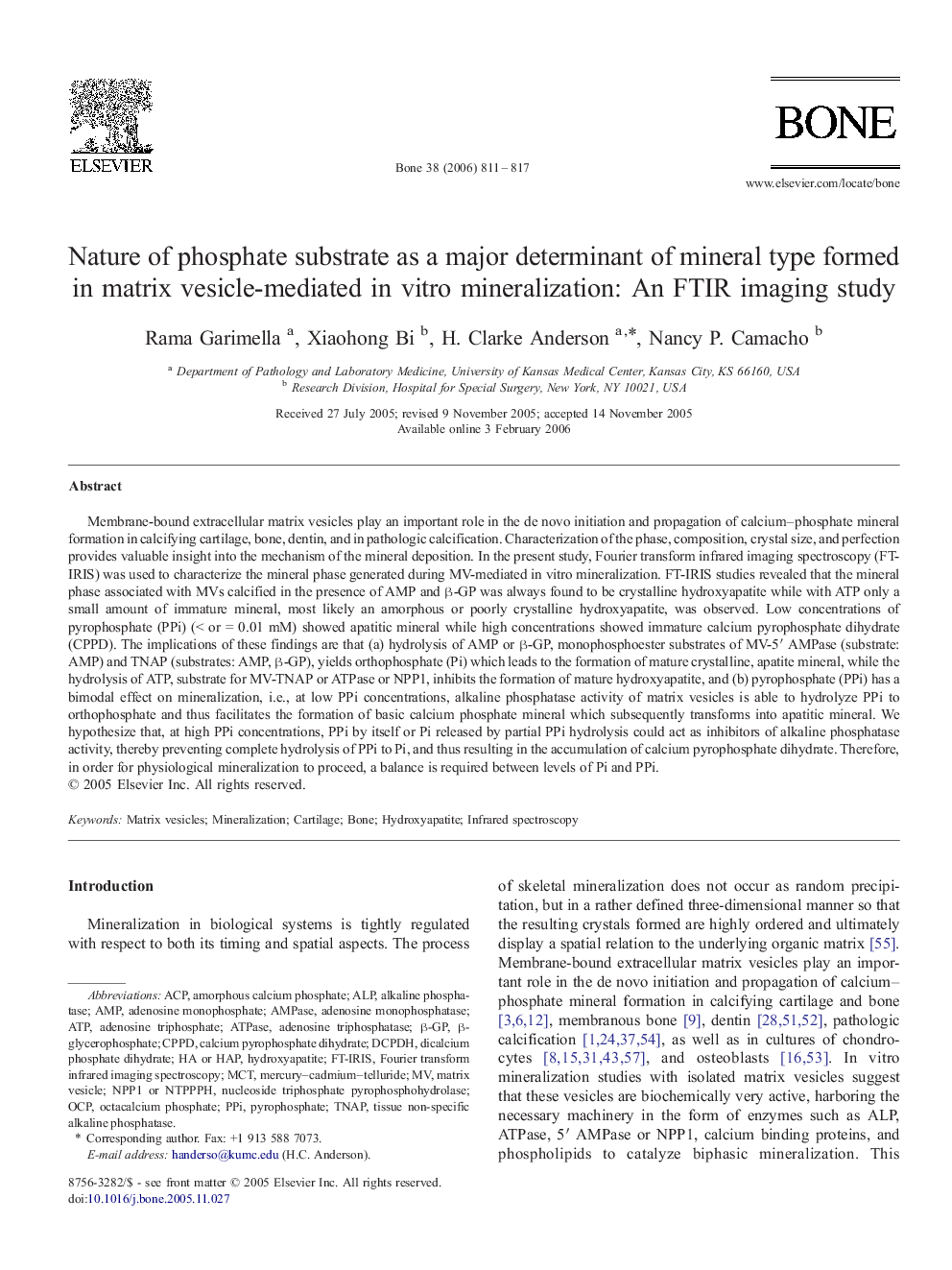 Nature of phosphate substrate as a major determinant of mineral type formed in matrix vesicle-mediated in vitro mineralization: An FTIR imaging study