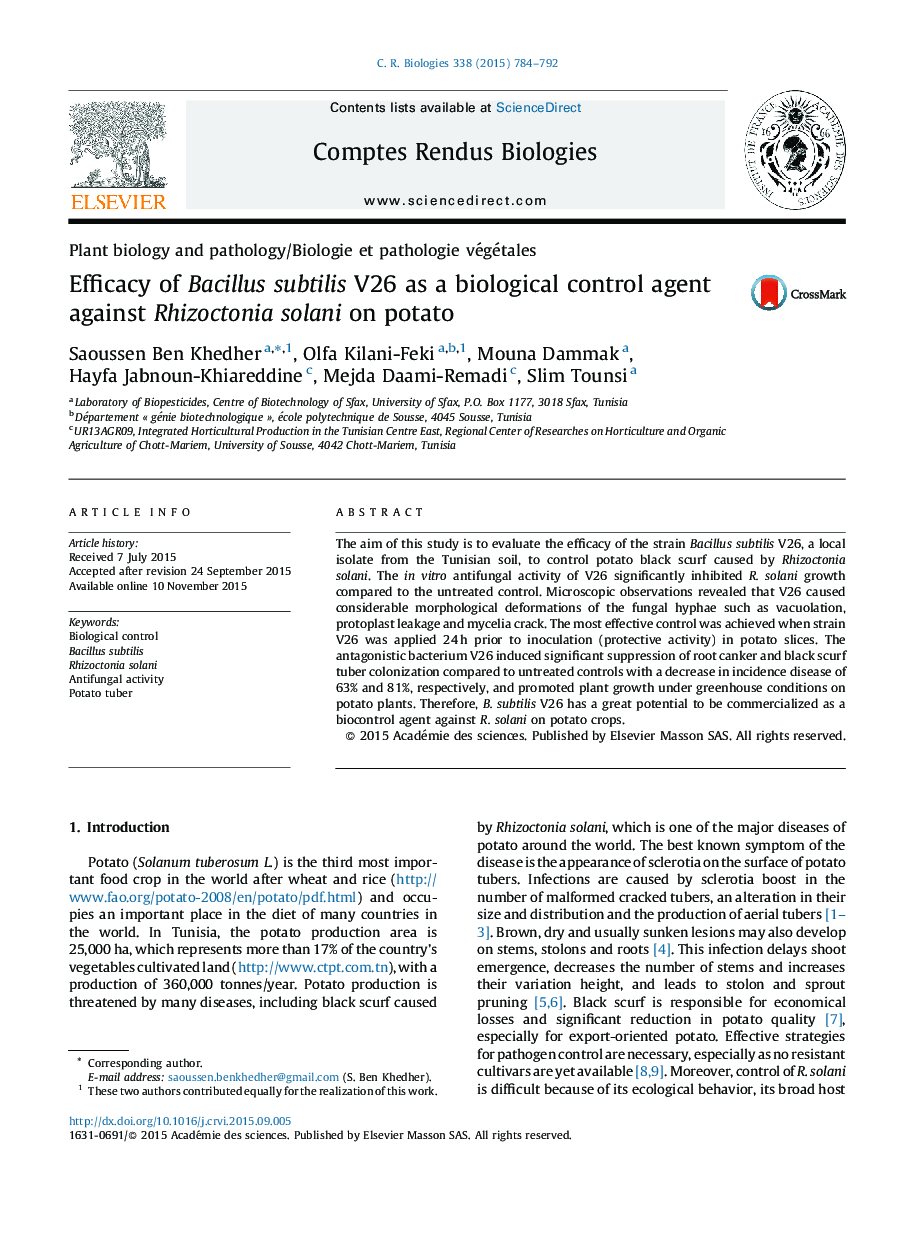 Efficacy of Bacillus subtilis V26 as a biological control agent against Rhizoctonia solani on potato