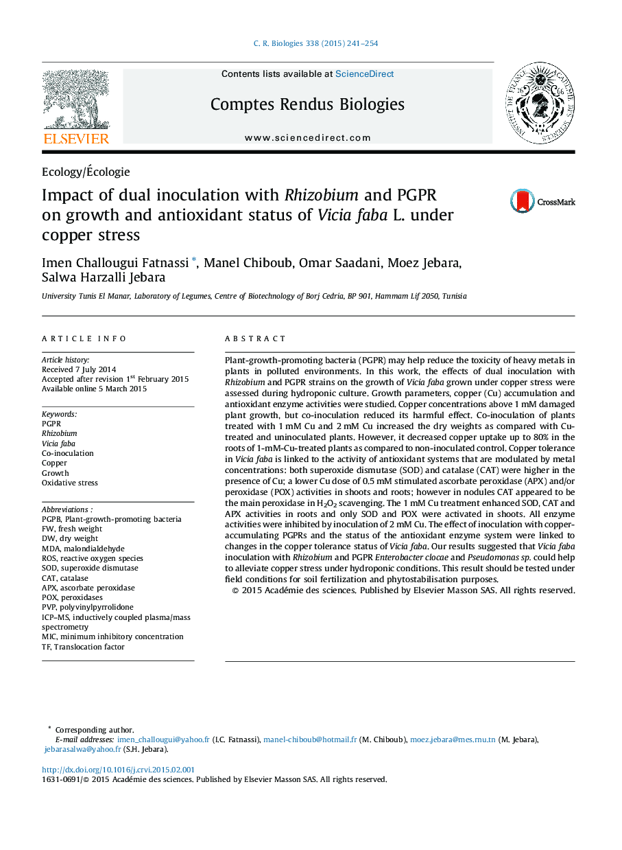 Impact of dual inoculation with Rhizobium and PGPR on growth and antioxidant status of Vicia faba L. under copper stress