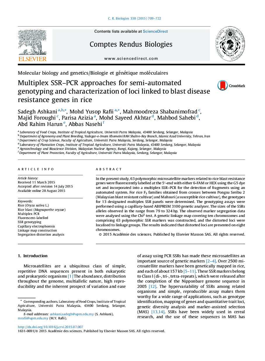 Multiplex SSR–PCR approaches for semi-automated genotyping and characterization of loci linked to blast disease resistance genes in rice