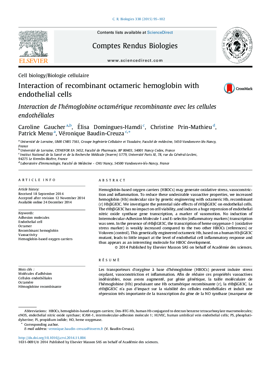 Interaction of recombinant octameric hemoglobin with endothelial cells