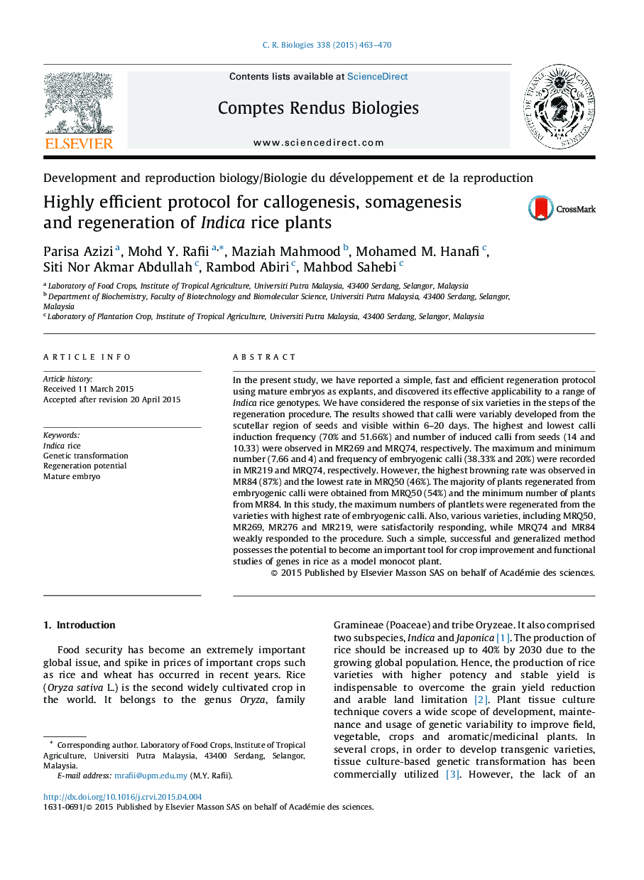 Highly efficient protocol for callogenesis, somagenesis and regeneration of Indica rice plants