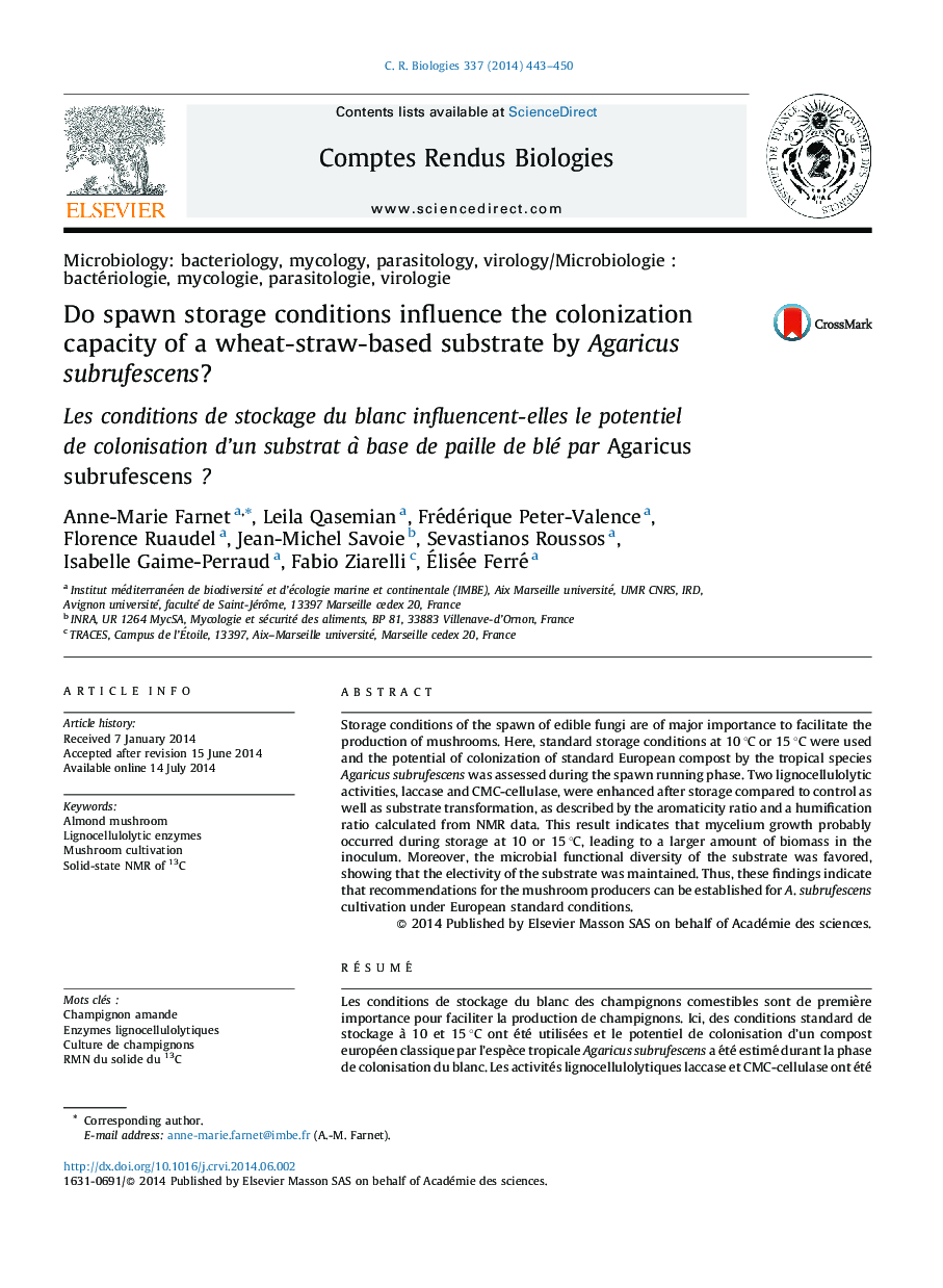 Do spawn storage conditions influence the colonization capacity of a wheat-straw-based substrate by Agaricus subrufescens?