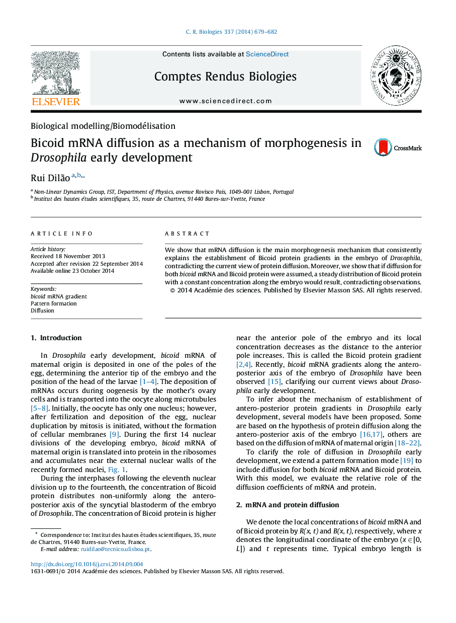 Bicoid mRNA diffusion as a mechanism of morphogenesis in Drosophila early development