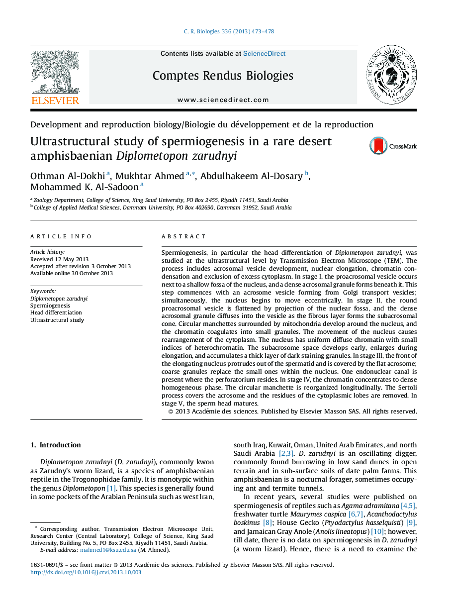 Ultrastructural study of spermiogenesis in a rare desert amphisbaenian Diplometopon zarudnyi