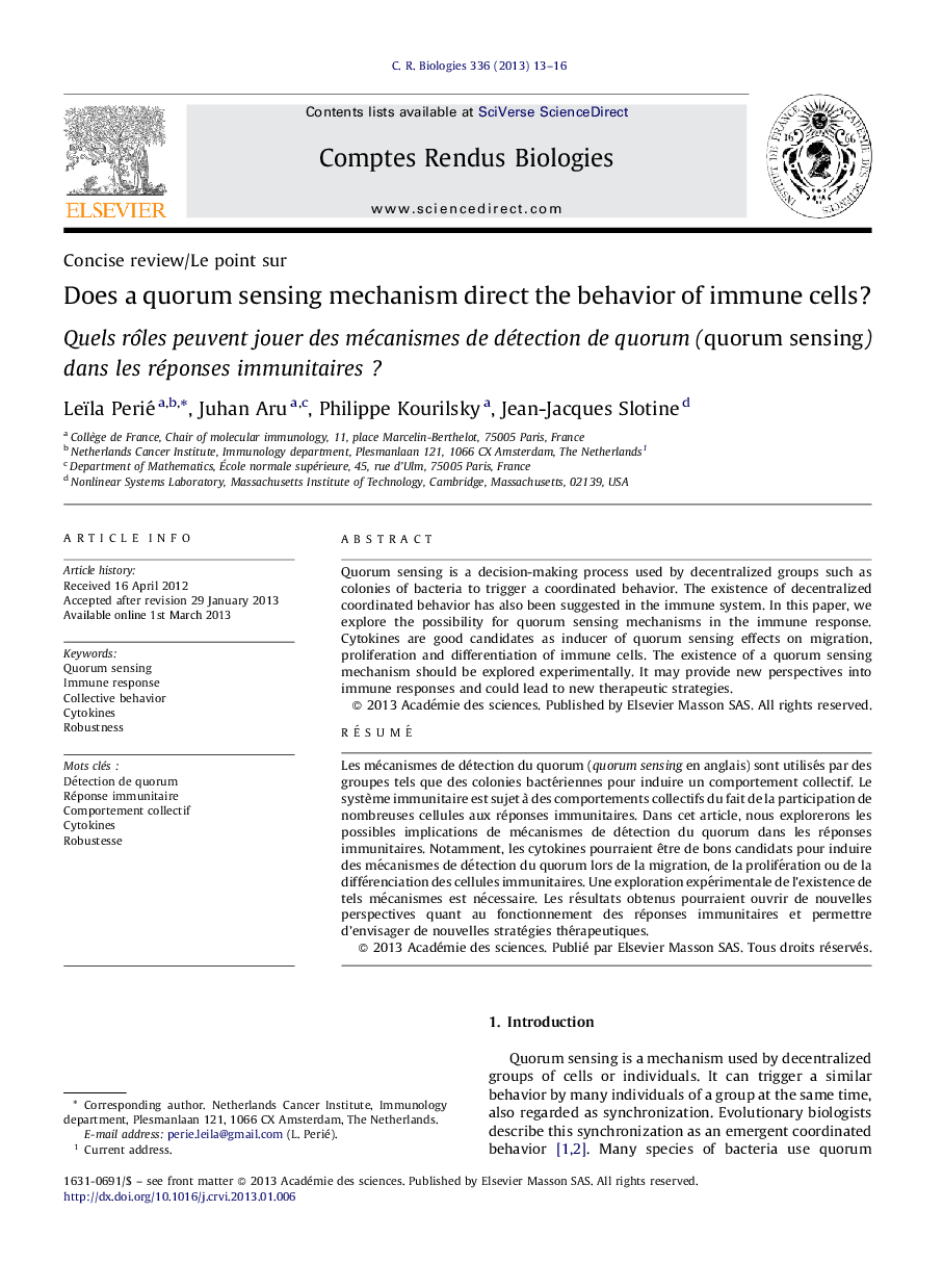 Does a quorum sensing mechanism direct the behavior of immune cells?