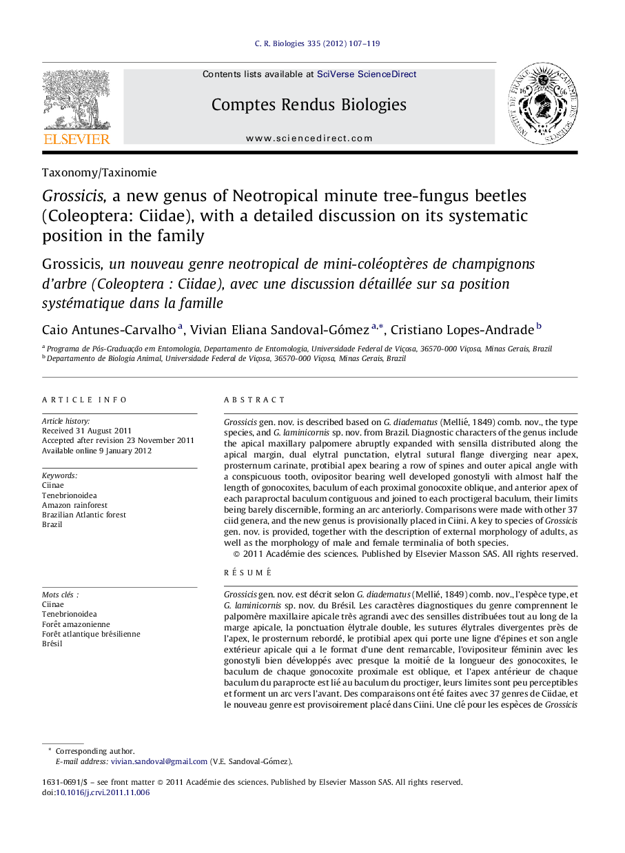 Grossicis, a new genus of Neotropical minute tree-fungus beetles (Coleoptera: Ciidae), with a detailed discussion on its systematic position in the family
