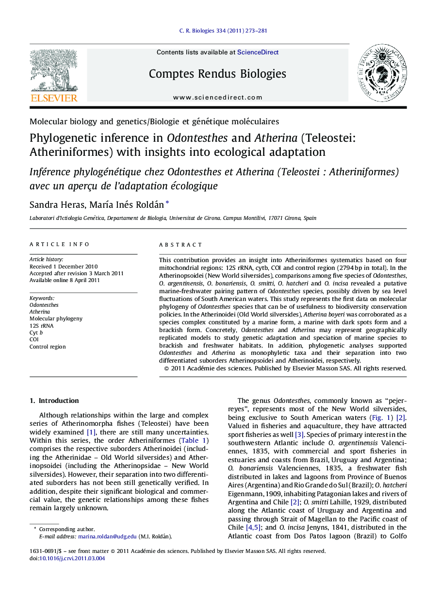 Phylogenetic inference in Odontesthes and Atherina (Teleostei: Atheriniformes) with insights into ecological adaptation