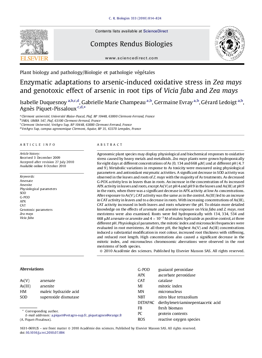 Enzymatic adaptations to arsenic-induced oxidative stress in Zea mays and genotoxic effect of arsenic in root tips of Vicia faba and Zea mays