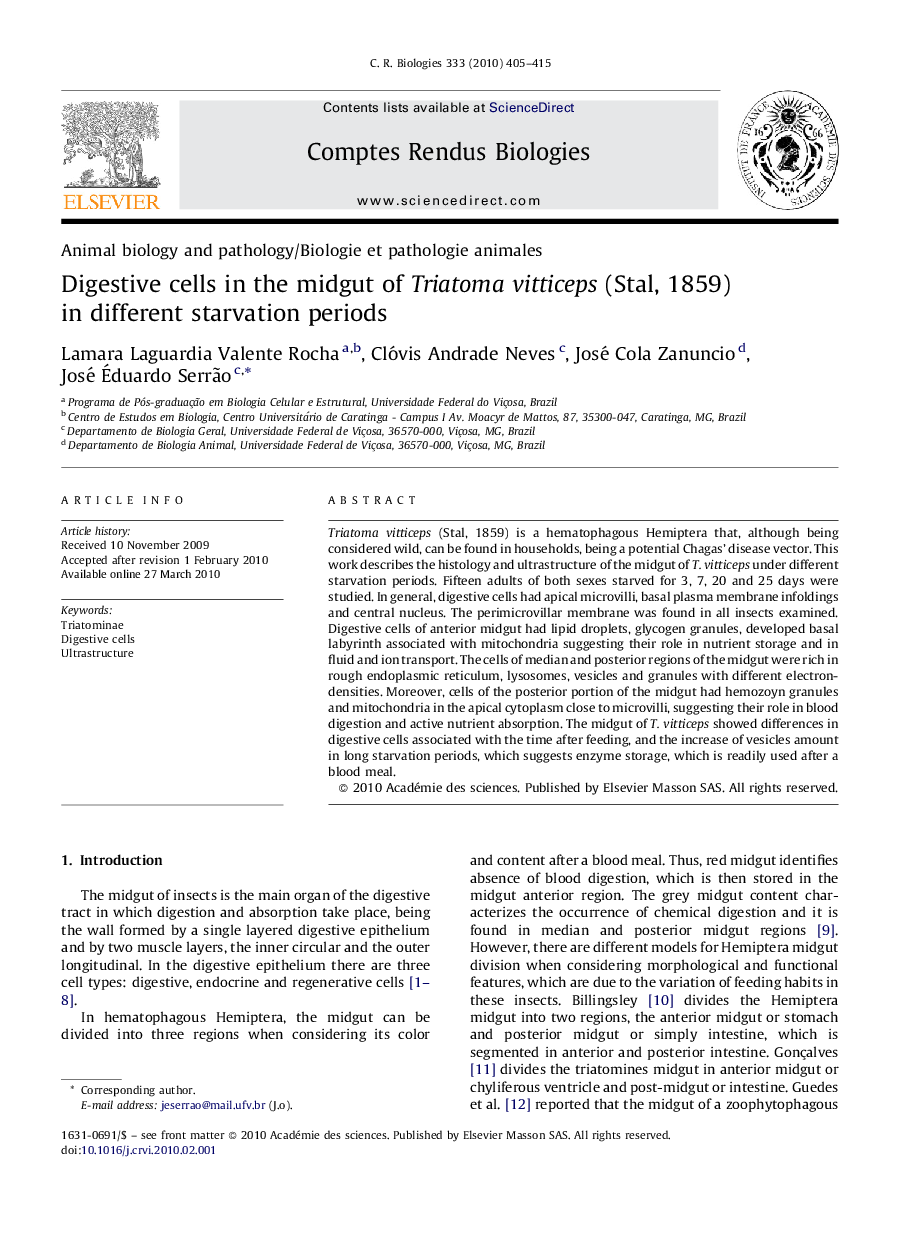 Digestive cells in the midgut of Triatoma vitticeps (Stal, 1859) in different starvation periods