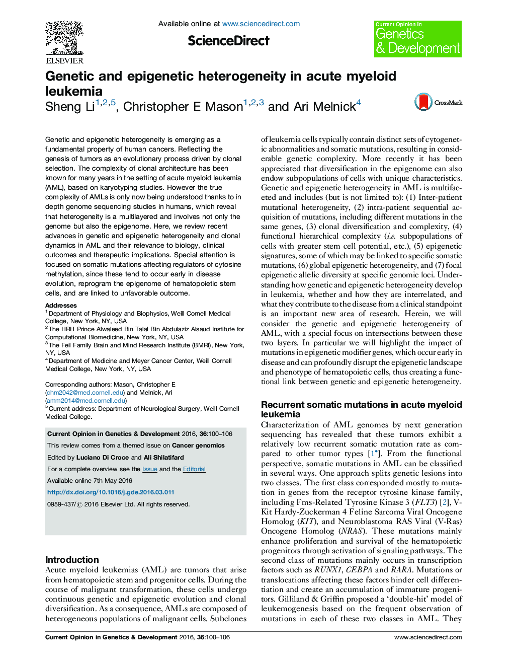 Genetic and epigenetic heterogeneity in acute myeloid leukemia
