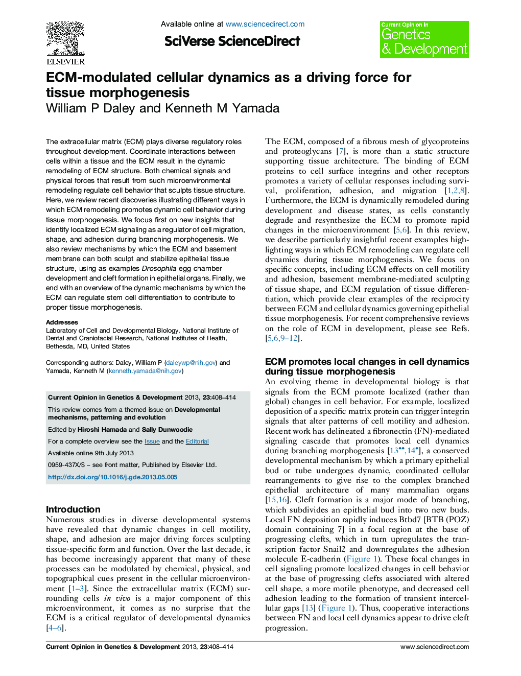 ECM-modulated cellular dynamics as a driving force for tissue morphogenesis