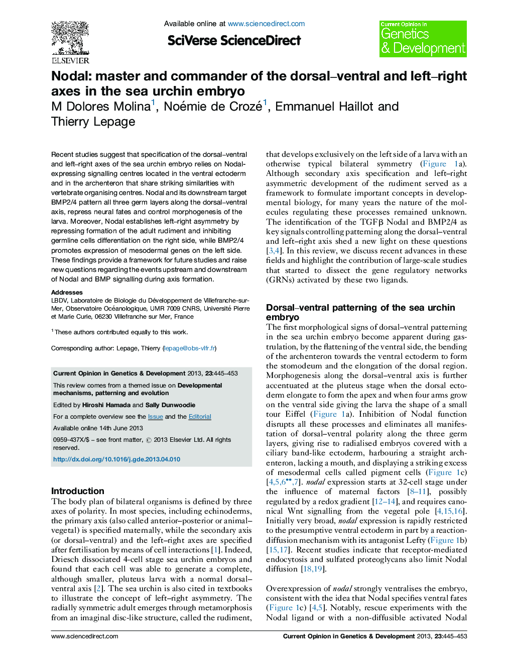 Nodal: master and commander of the dorsal–ventral and left–right axes in the sea urchin embryo