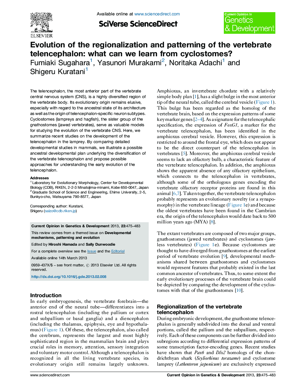 Evolution of the regionalization and patterning of the vertebrate telencephalon: what can we learn from cyclostomes?