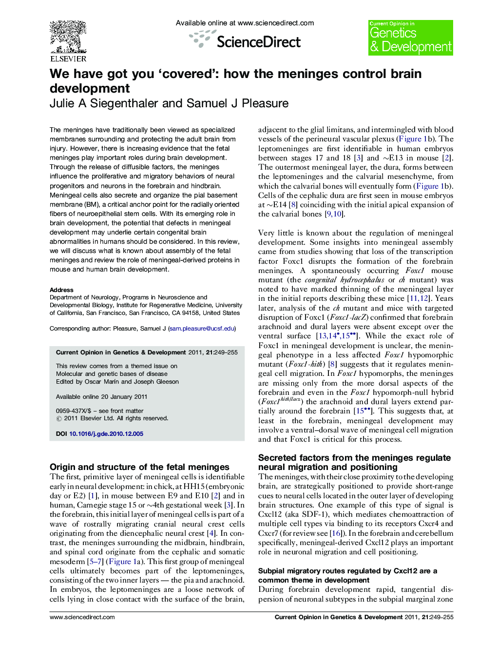 We have got you ‘covered’: how the meninges control brain development
