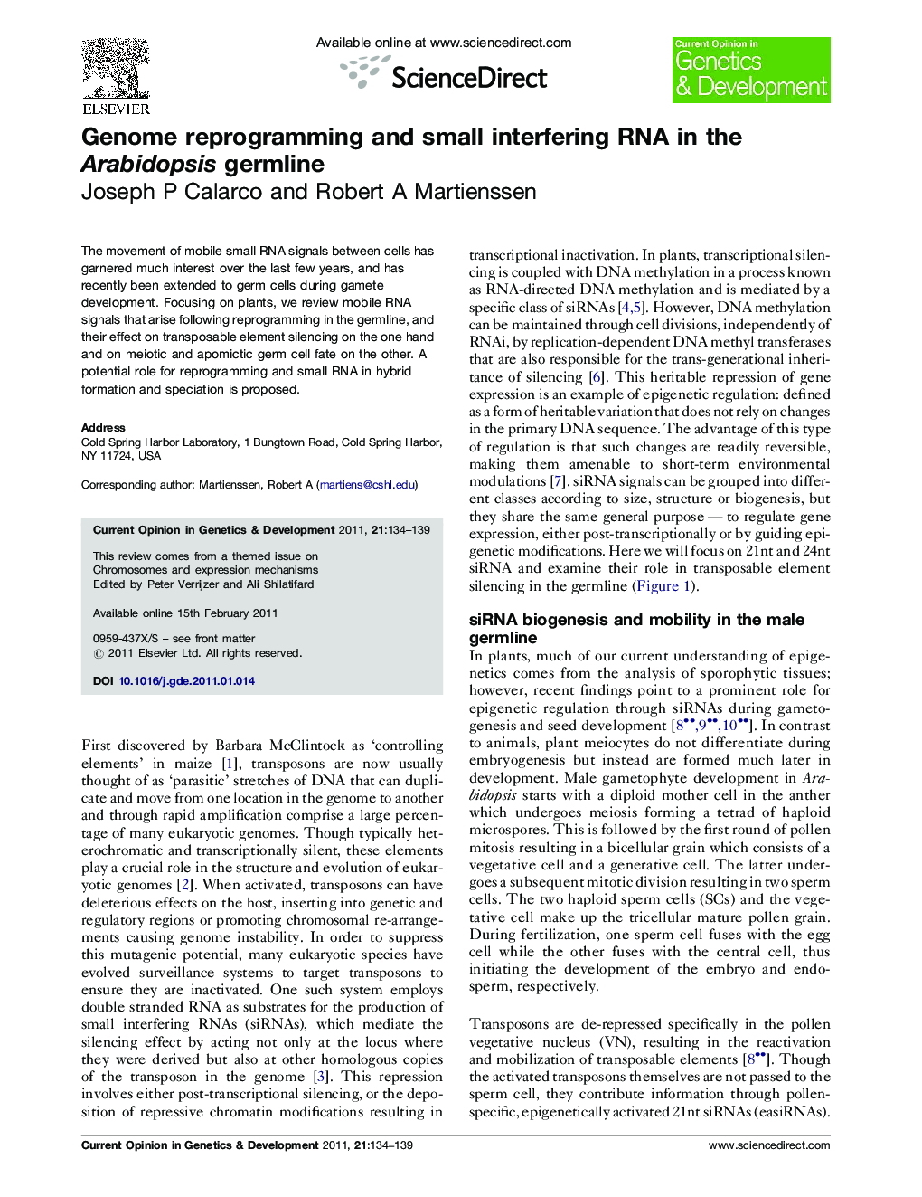 Genome reprogramming and small interfering RNA in the Arabidopsis germline