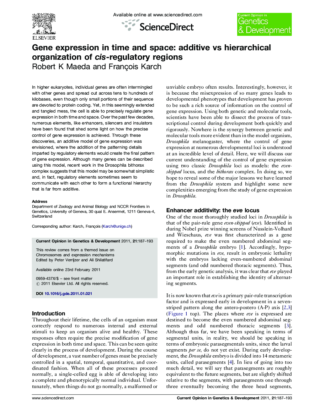 Gene expression in time and space: additive vs hierarchical organization of cis-regulatory regions