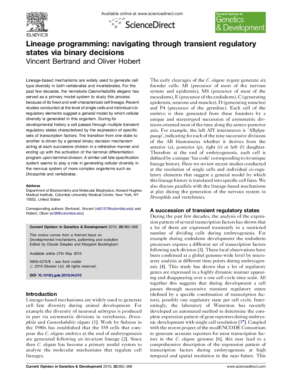 Lineage programming: navigating through transient regulatory states via binary decisions