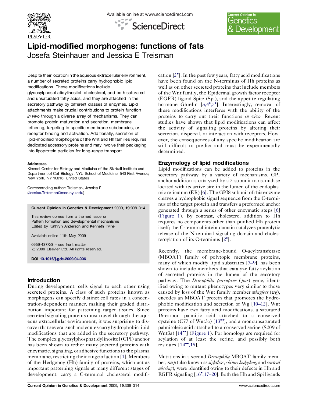 Lipid-modified morphogens: functions of fats