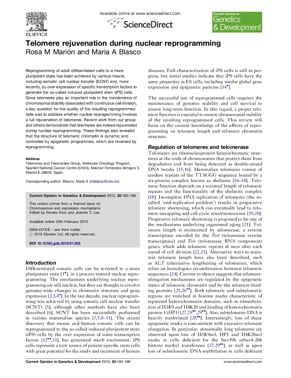 Telomere rejuvenation during nuclear reprogramming