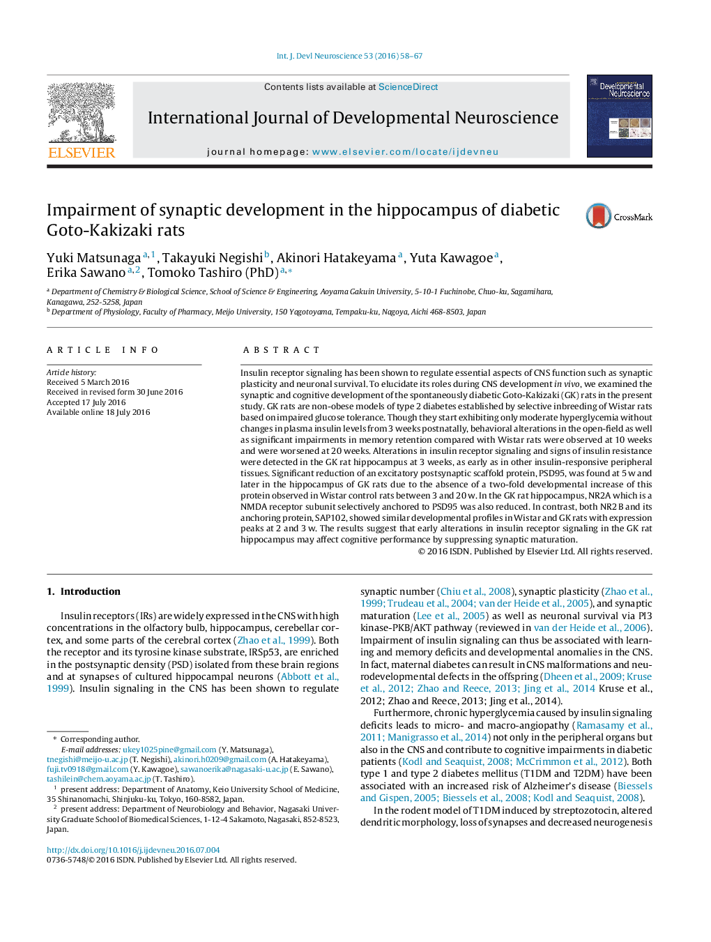 Impairment of synaptic development in the hippocampus of diabetic Goto-Kakizaki rats