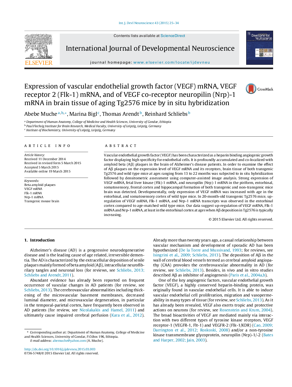 Expression of vascular endothelial growth factor (VEGF) mRNA, VEGF receptor 2 (Flk-1) mRNA, and of VEGF co-receptor neuropilin (Nrp)-1 mRNA in brain tissue of aging Tg2576 mice by in situ hybridization