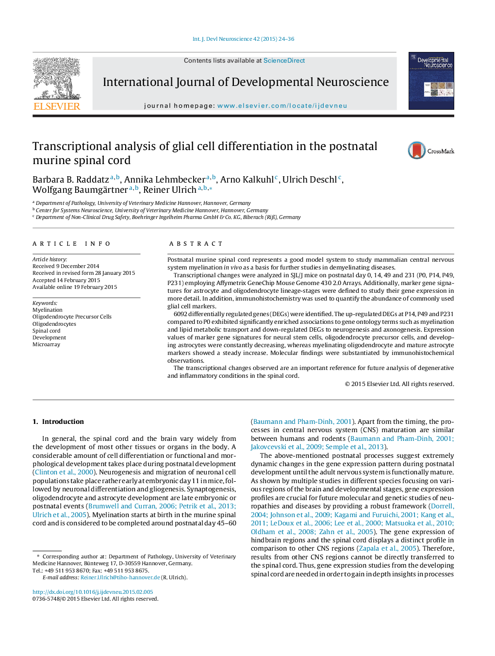 Transcriptional analysis of glial cell differentiation in the postnatal murine spinal cord