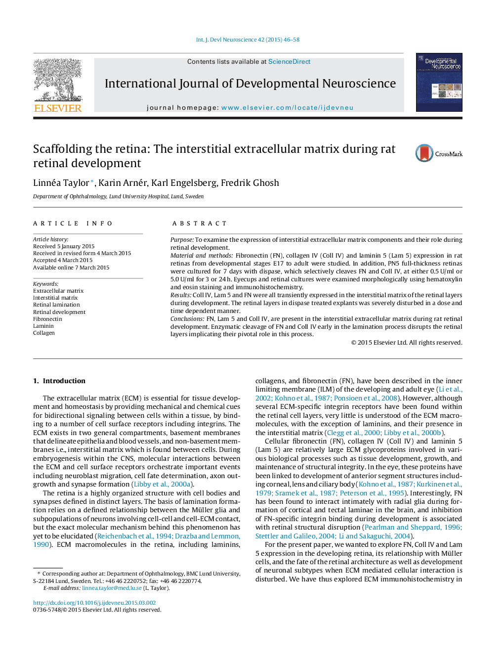 Scaffolding the retina: The interstitial extracellular matrix during rat retinal development