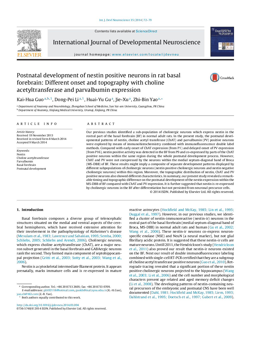 Postnatal development of nestin positive neurons in rat basal forebrain: Different onset and topography with choline acetyltransferase and parvalbumin expression