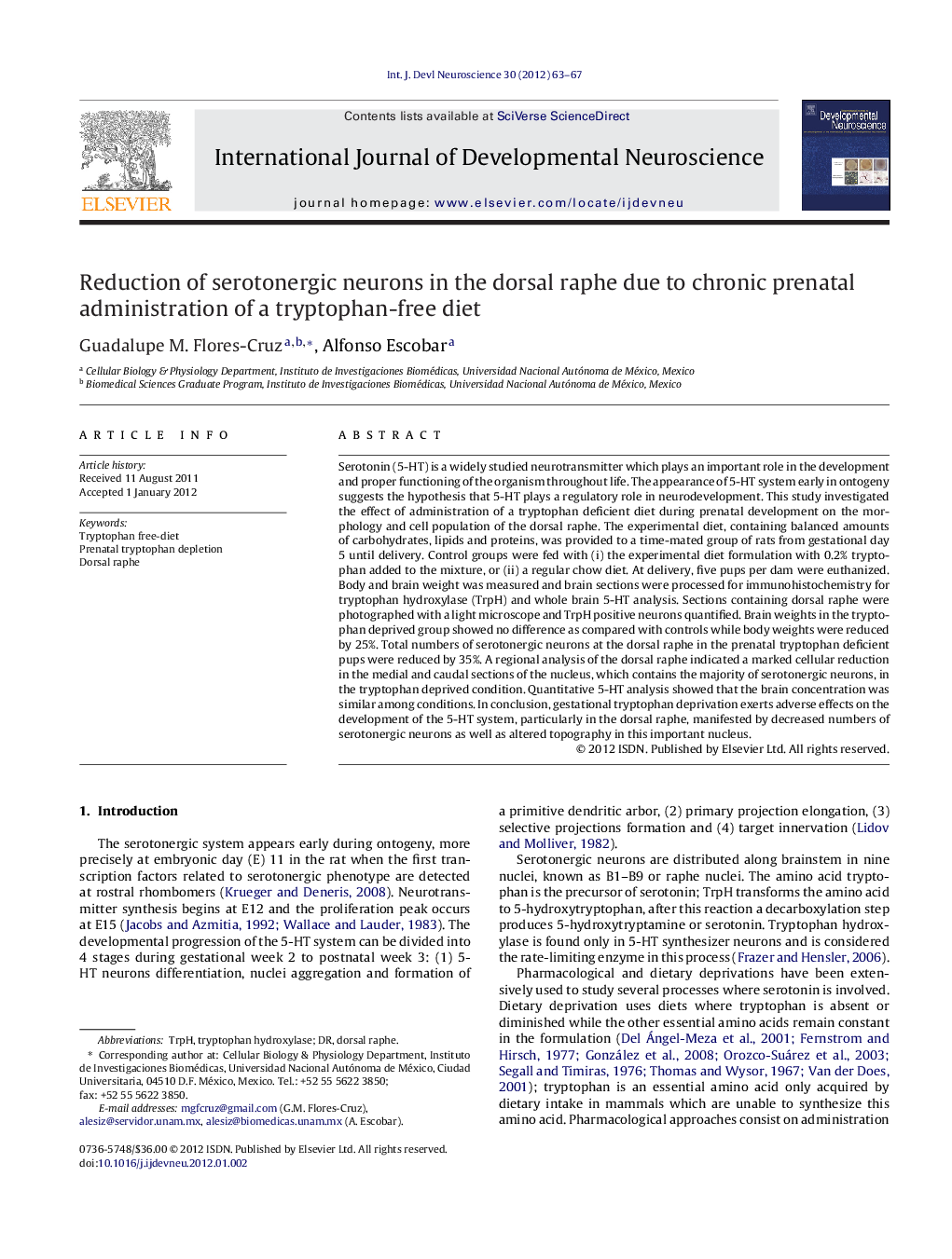 Reduction of serotonergic neurons in the dorsal raphe due to chronic prenatal administration of a tryptophan-free diet