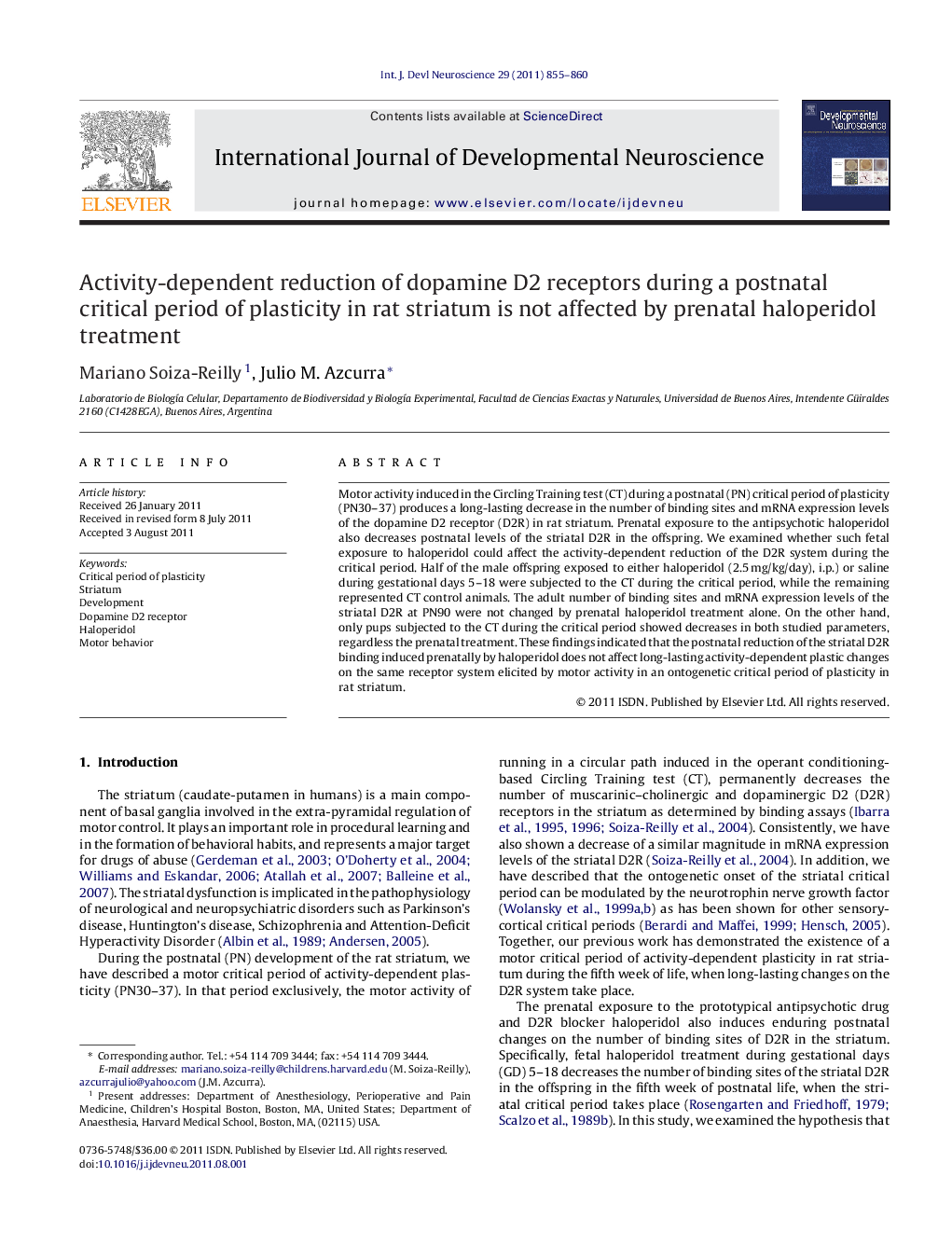 Activity-dependent reduction of dopamine D2 receptors during a postnatal critical period of plasticity in rat striatum is not affected by prenatal haloperidol treatment