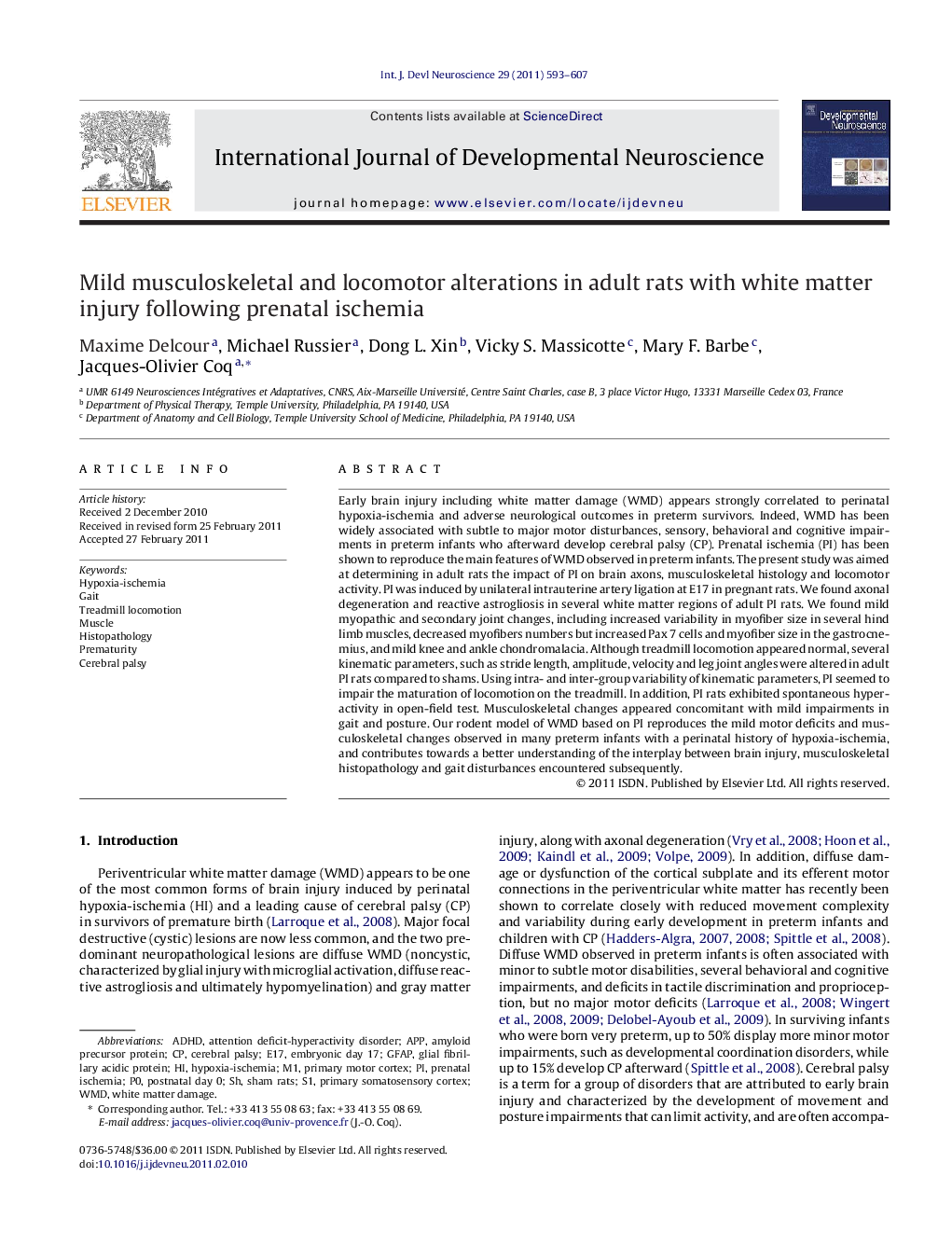 Mild musculoskeletal and locomotor alterations in adult rats with white matter injury following prenatal ischemia