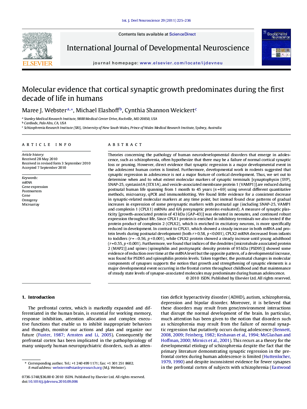 Molecular evidence that cortical synaptic growth predominates during the first decade of life in humans