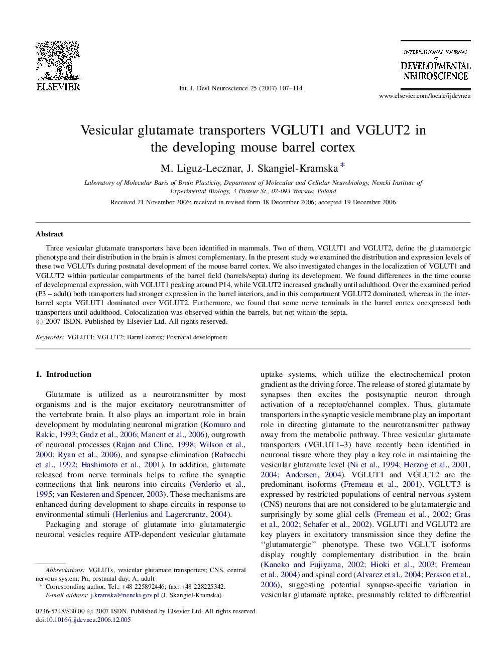 Vesicular glutamate transporters VGLUT1 and VGLUT2 in the developing mouse barrel cortex