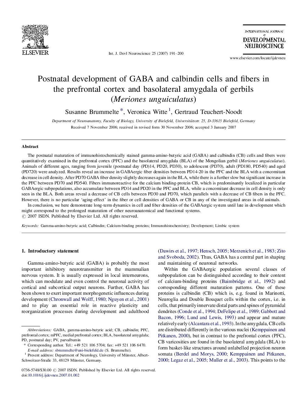 Postnatal development of GABA and calbindin cells and fibers in the prefrontal cortex and basolateral amygdala of gerbils (Meriones unguiculatus)