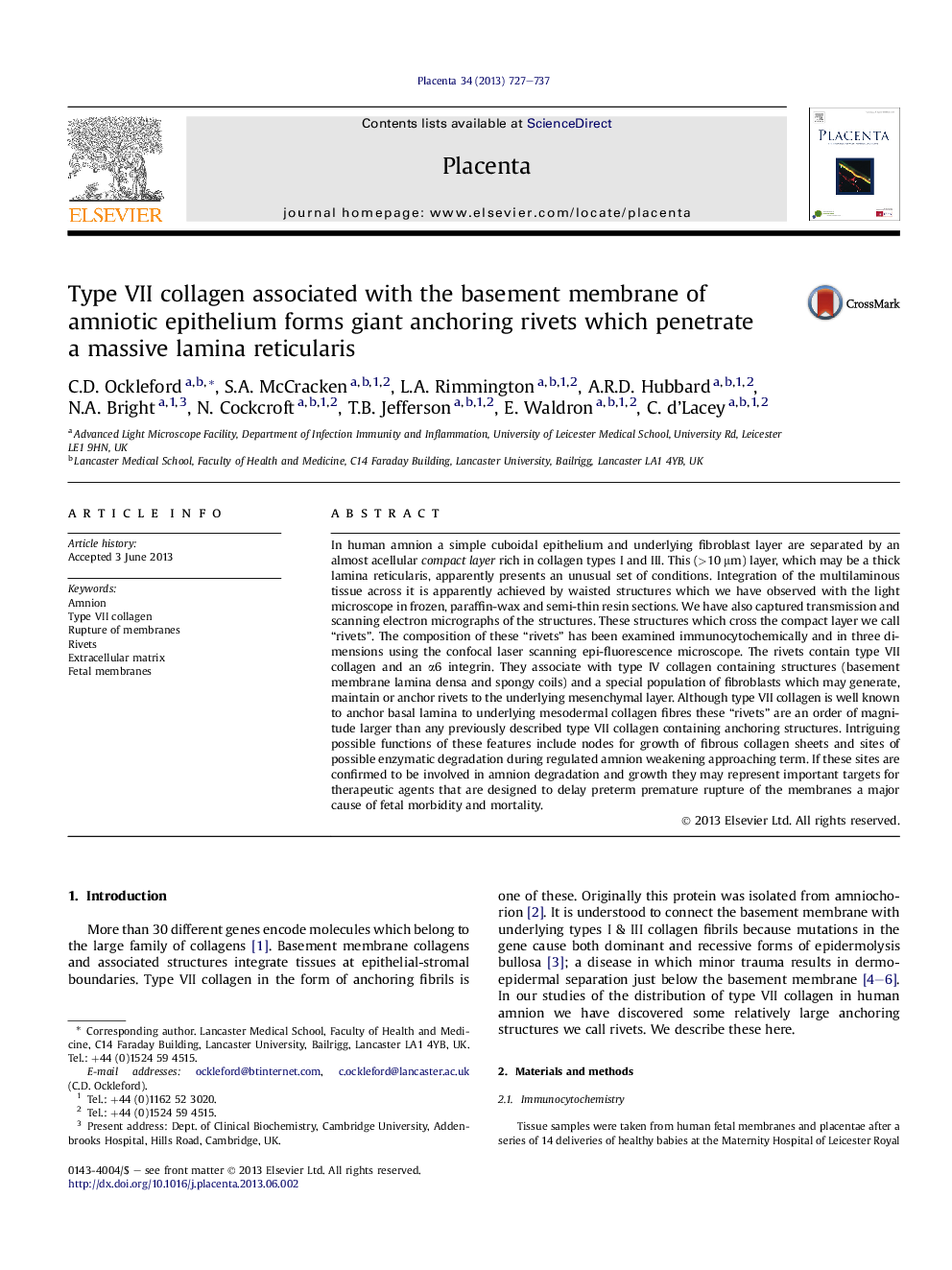 Type VII collagen associated with the basement membrane of amniotic epithelium forms giant anchoring rivets which penetrate a massive lamina reticularis