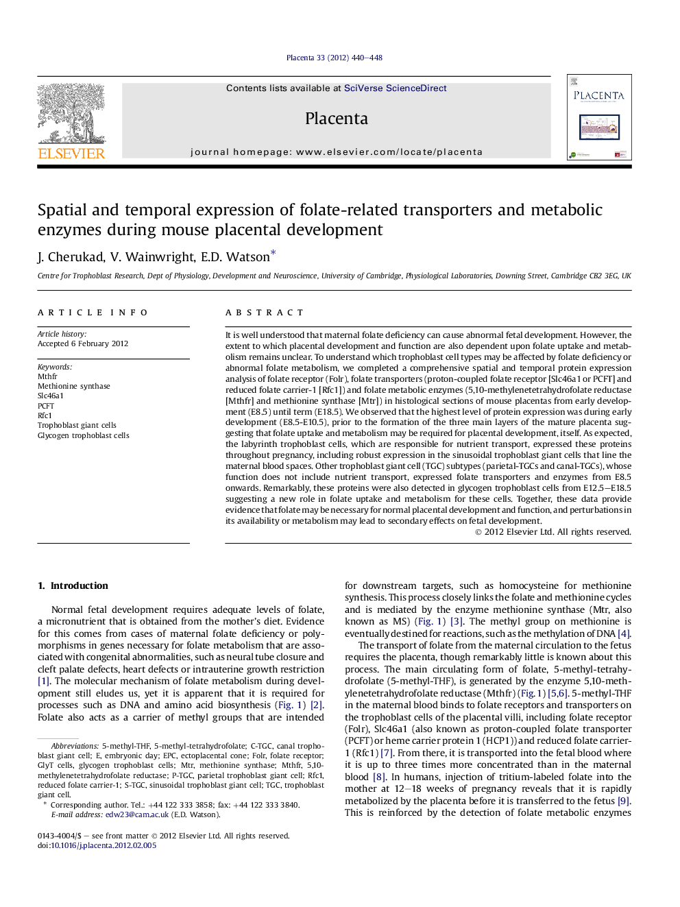 Spatial and temporal expression of folate-related transporters and metabolic enzymes during mouse placental development