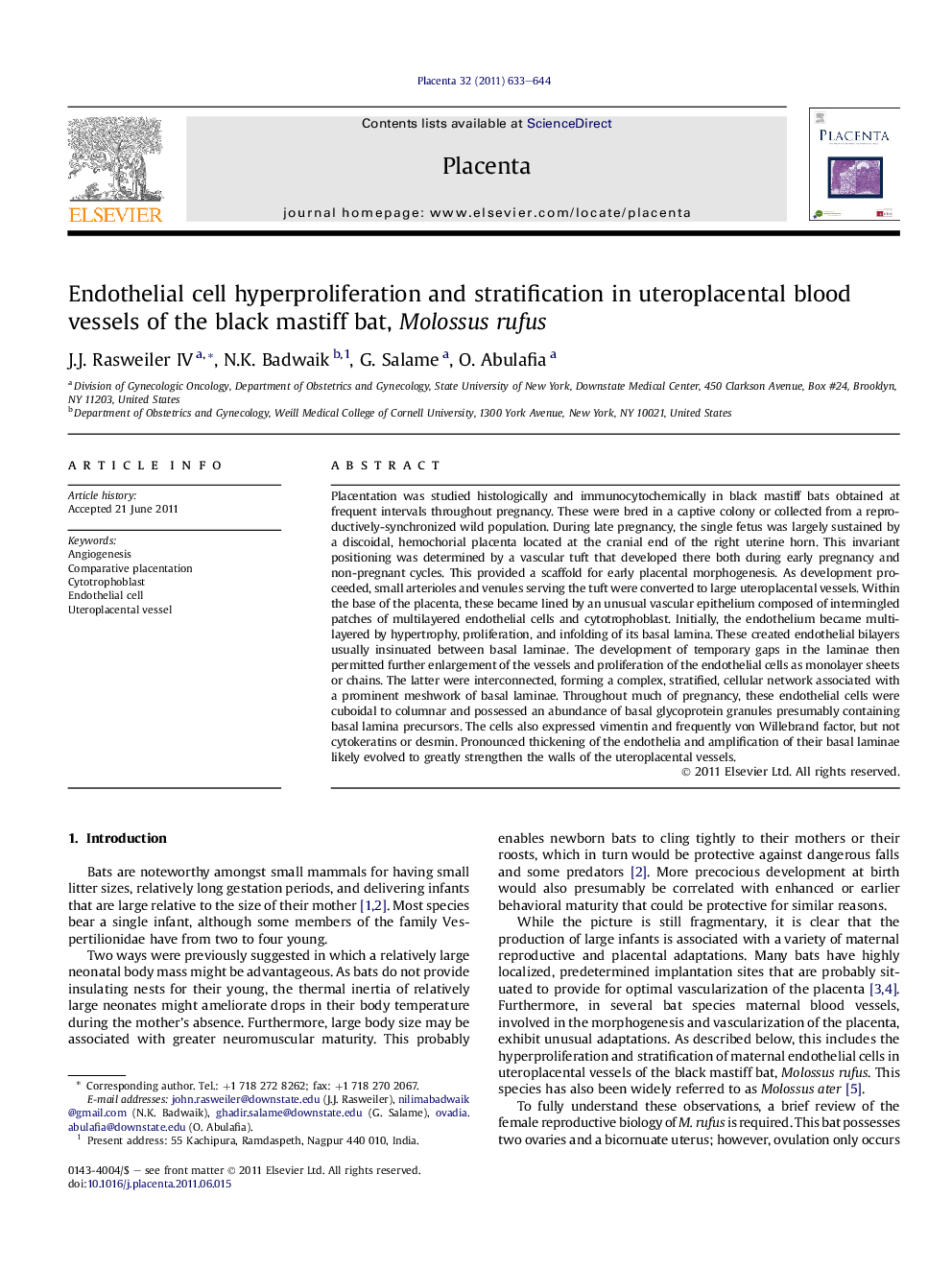 Endothelial cell hyperproliferation and stratification in uteroplacental blood vessels of the black mastiff bat, Molossus rufus