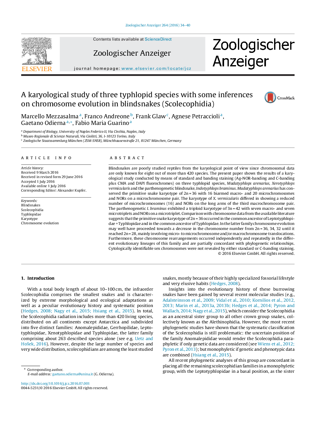 A karyological study of three typhlopid species with some inferences on chromosome evolution in blindsnakes (Scolecophidia)