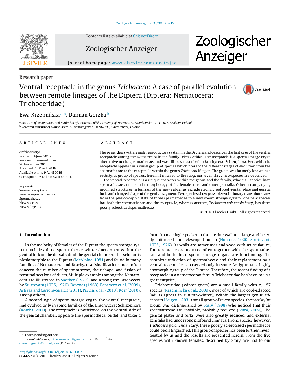 Ventral receptacle in the genus Trichocera: A case of parallel evolution between remote lineages of the Diptera (Diptera: Nematocera: Trichoceridae)