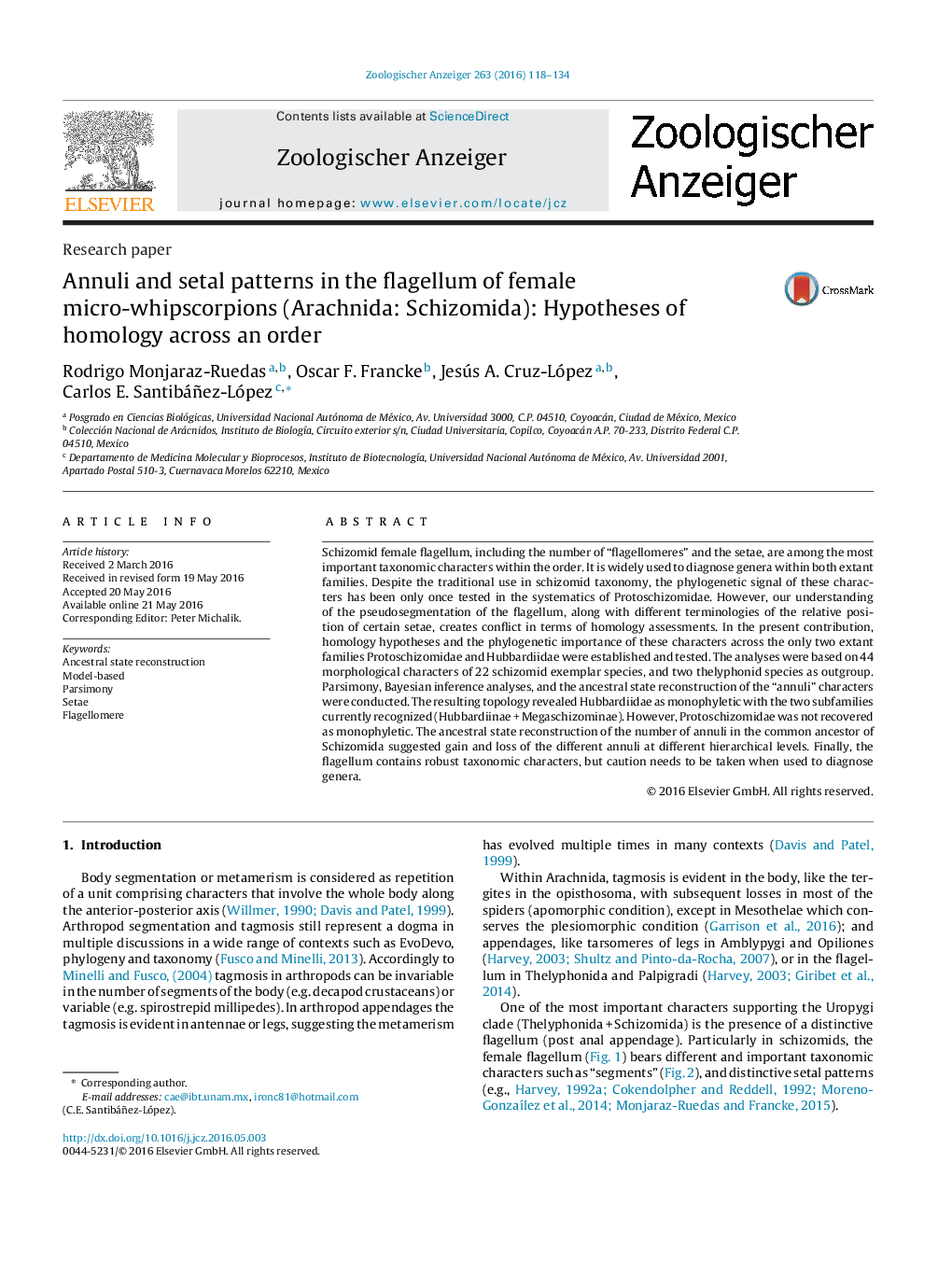 Annuli and setal patterns in the flagellum of female micro-whipscorpions (Arachnida: Schizomida): Hypotheses of homology across an order