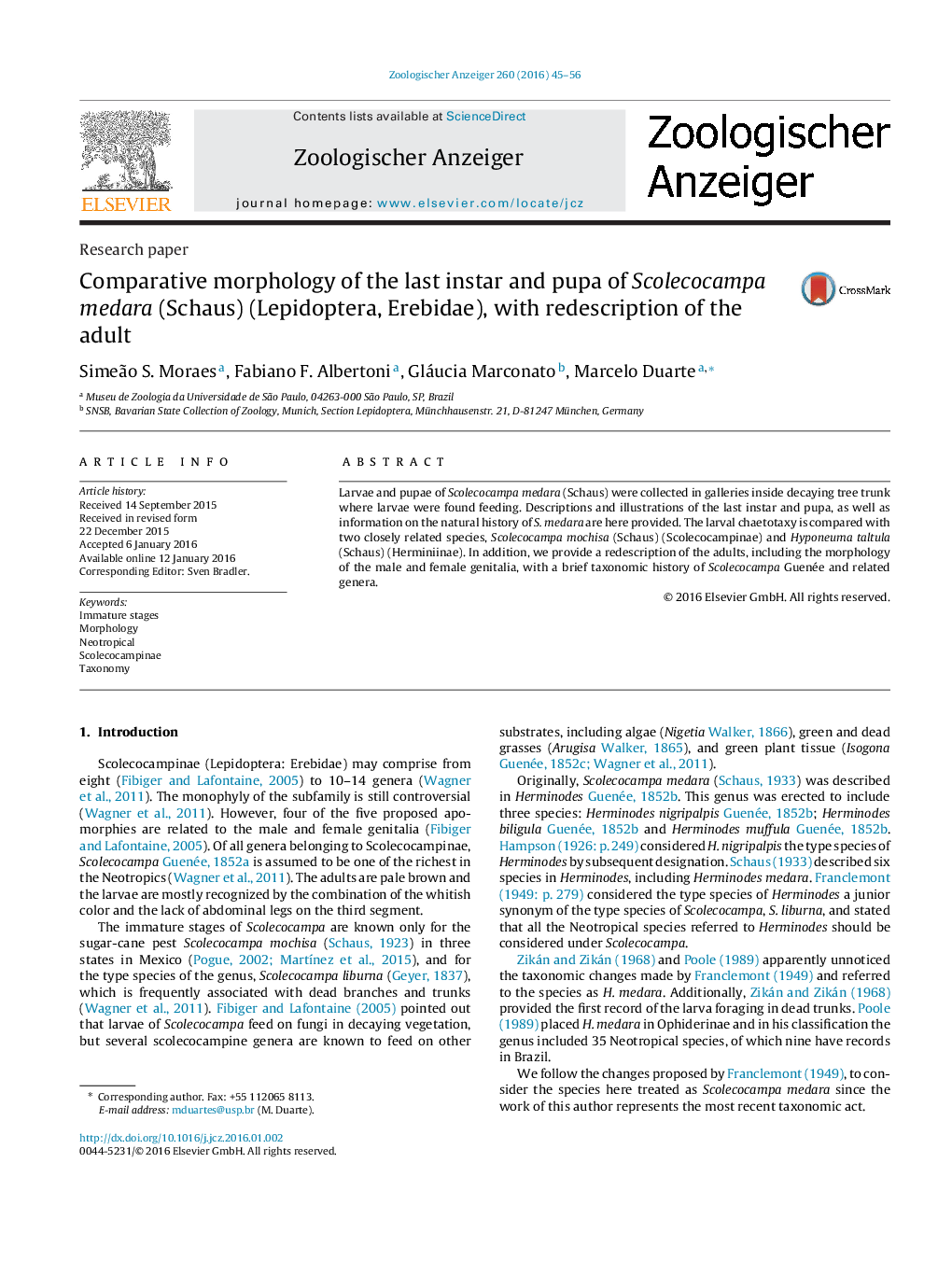 Comparative morphology of the last instar and pupa of Scolecocampa medara (Schaus) (Lepidoptera, Erebidae), with redescription of the adult